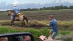 Umjesto glisera koristio konja kako bi surfao na dasci (VIDEO)