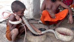 Indijsko selo u kojem se djeca igraju sa zmijama bez imalo straha (FOTO)