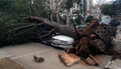 Crna Gora: Vjetar dizao krovove i obarao drveće, brojna sela bez struje (FOTO)