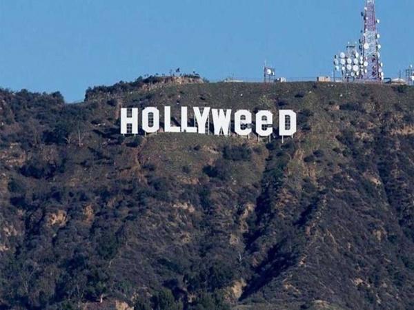 Znak "Hollywood" promijenjen u "Hollyweed"