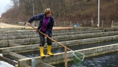 Vratila se iz SAD u BiH da uzgaja ribu: Ovdje se može lijepo živjeti