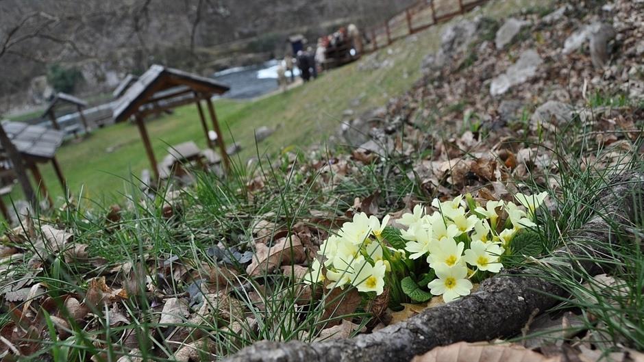 Proljeće u BiH: Temperature u granicama prosjeka, obilnije padavine u maju