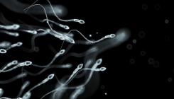 Naučnici pronašli neočekivani način upotrebe spermatozoida za liječenje ginekoloških oboljenja