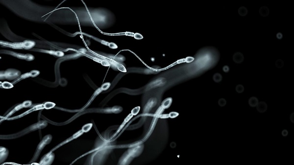 Naučnici pronašli neočekivani način upotrebe spermatozoida za liječenje ginekoloških oboljenja