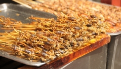 Insekti, škorpije, zmije i puževi delicija u Pekingu (FOTO)