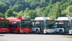 Oglas za posao: GiPS Tuzla u potrazi za vozačima autobusa, potrebno više izvršilaca