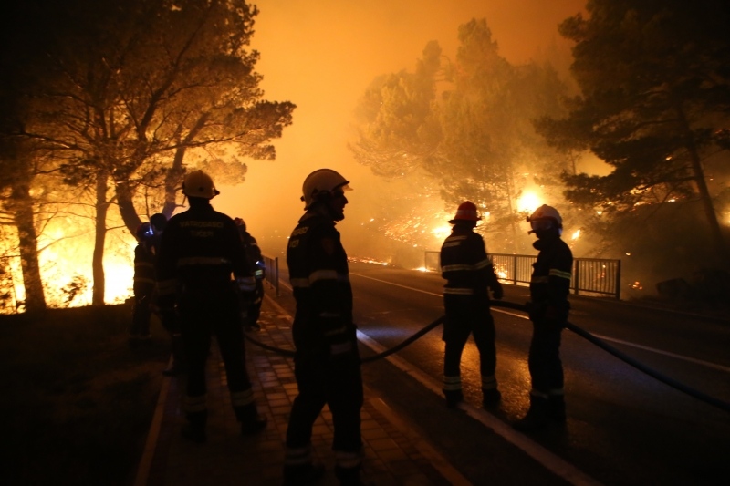 Šumski požari na jugu Italije, vatra na obroncima vulkana Vezuva