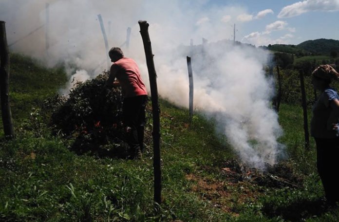 Malinar iz Velike Kladuše spalio malinjak od 3 dunuma (VIDEO)