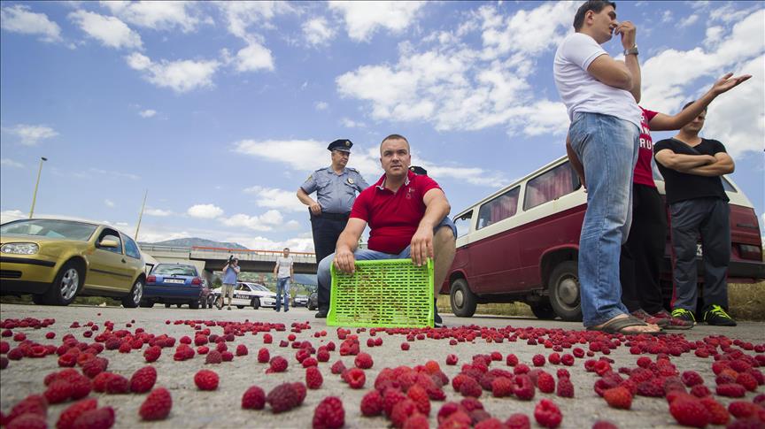 Zenički malinari u znak protesta prosuli maline po cesti