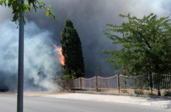 Zbog požara evakuacija u Crnoj Gori, vatra doseže visinu do 30 metara (VIDEO)