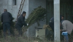 U kući u Pelagićevu pronađeno više od pola tone droge (VIDEO)