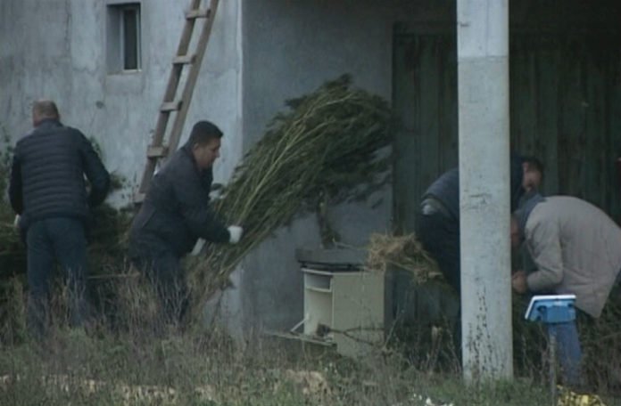 U kući u Pelagićevu pronađeno više od pola tone droge (VIDEO)