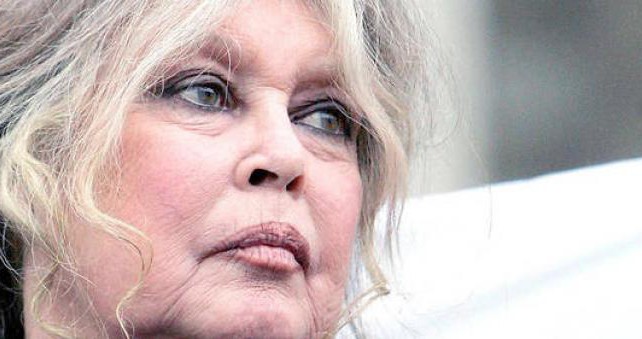 Simbol aktiviste za prava životinja: Brigitte Bardot objavljuje knjigu