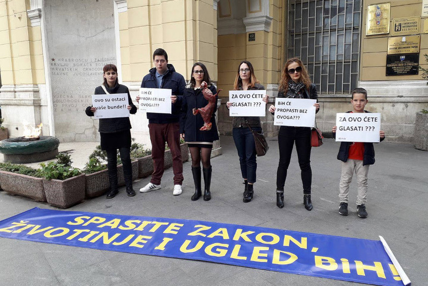 U nedjelju protest u Tuzli: Ne želimo da se životinje u BiH uzgajaju zbog krzna