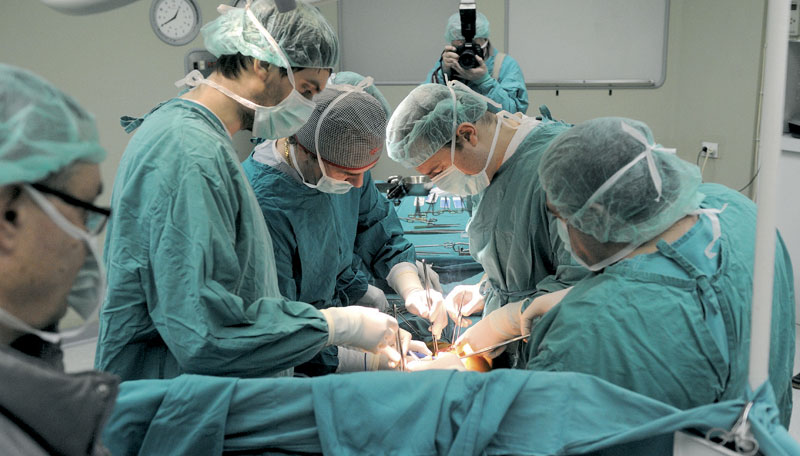 Prvi svinjski bubreg u čovjeku: Je li budućnost u ksenotransplantaciji?