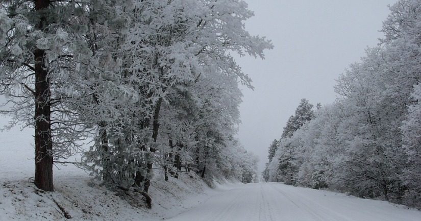 Apel iz Bosanskog Grahova: U selu Tiškovac nedostaje hrana