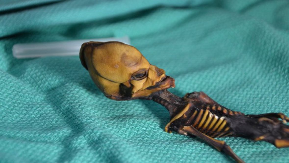 Riješena misterija vanzemaljskog kostura iz pustinje (VIDEO)