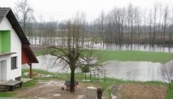 Sava zaplavila zemljište u blizini kuća u Gradišci, voda ušla u nekoliko podruma