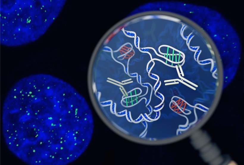 Naučnici otkrili potpuno drugačiji oblik DNK u ljudskim ćelijama