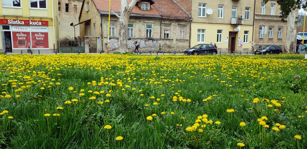 Utvrđen Prijedlog zakona o zaštiti okoliša: Kazne za prekršaje od 500 do 50.000 KM