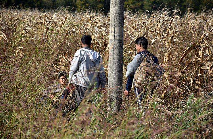 Migranti ne biraju način prelaska granice, dobro im služi nizak nivo Drine