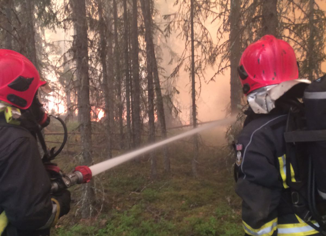 Vatrogasni avioni napuštaju Švedsku, požari suzbijeni