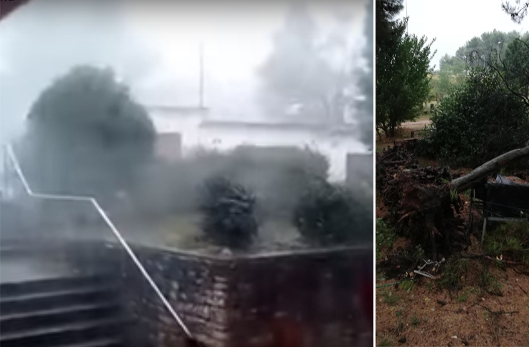 Snažno nevrijeme stiglo u region: Vjetar čupao stabla, padao krupan led (VIDEO)