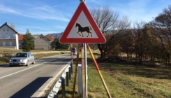 Na bh. ceste stigao znak koji upozorava na prisutnost divljih konja