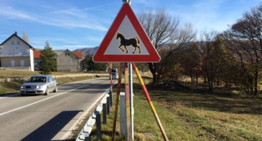 Na bh. ceste stigao znak koji upozorava na prisutnost divljih konja