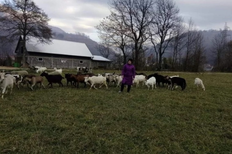 Porodica Zekotić iz radoznalosti kupila dvije koze, a sada ima farmu u podnožju Vranice