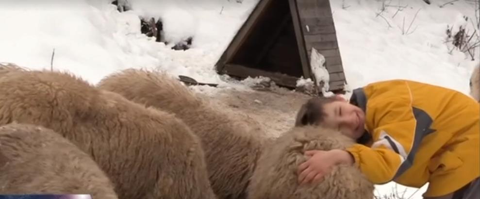 Fascinantna priča o dječaku Ameru Ibrahimoviću iz sela Pobuđe nadomak Bratunca (VIDEO)