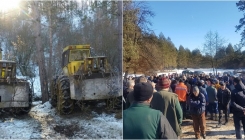 Općina Živinice: Mještani protiv sječe šume i uništavanja drvne mase stare desetinama godina (FOTO | VIDEO)