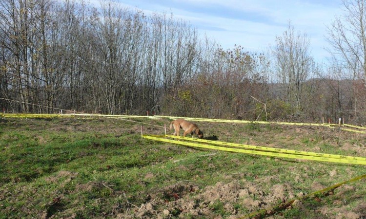 Njemačka podržava humanitarno deminiranje u BiH sa još 500.000 eura