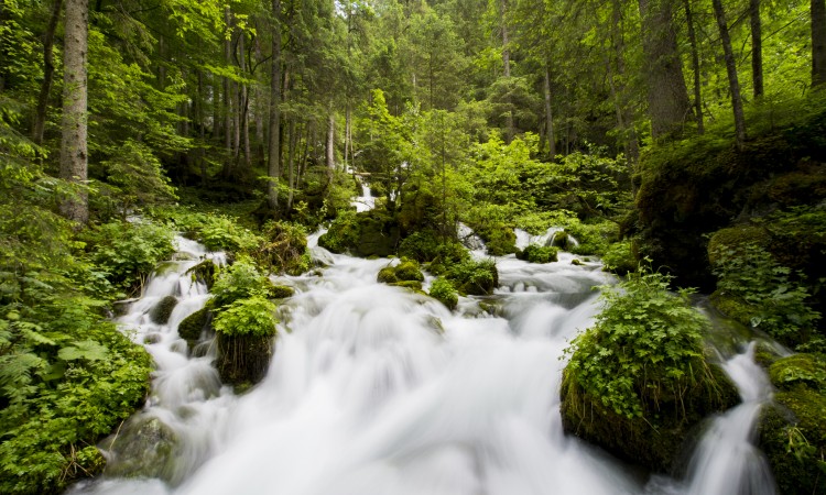 BiH bilježi pad obnovljivih vodnih resursa