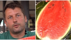 Prodavač iz Beograda otkriva: Kako u tri koraka izabrati savršenu lubenicu (VIDEO)