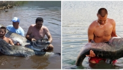 Bilećko jezero sve popularnije za ribolov: Izvlače se somovi teži od 60 kg