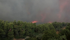 Šumski požar bjesni na grčkom otoku Evia