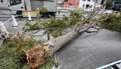 Snažan tajfun kreće se prema sjeveroistoku Japana: Letovi otkazani