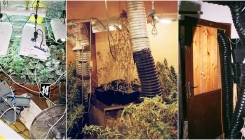 Pogledajte upad sarajevskih policajaca u improvizovane laboratorije za uzgoj marihuane
