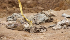 Ekshumacija na području Vlasenice: Pronađeni potpuni posmrtni ostaci jedne osobe