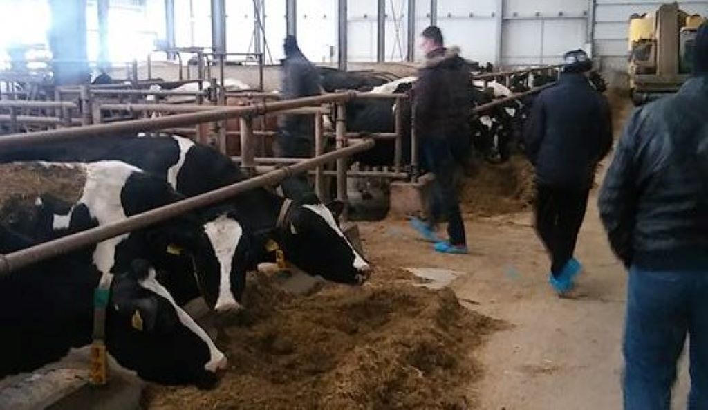 Tuzlanska zadruga Milk Land planira povećanje proizvodnje svježeg mlijeka