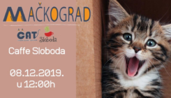 Mačkograd u Tuzli: CAT & Caffe bar Sloboda organizuju nedjeljnu žurku za građane Tuzle