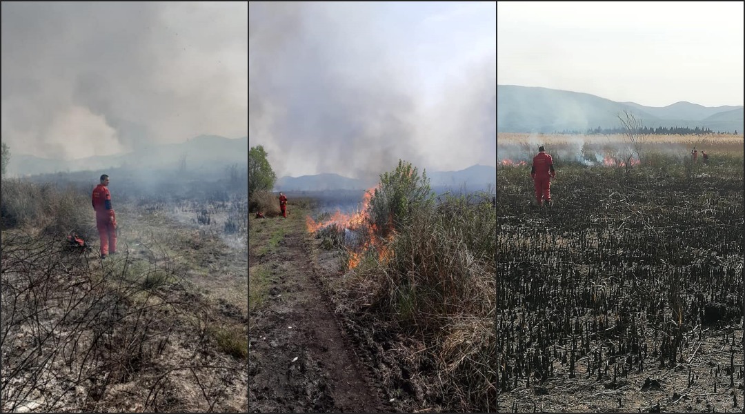 Veliki požar zahvatio Hutovo blato