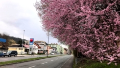 Sunčana nedjelja u Bosni i Hercegovini