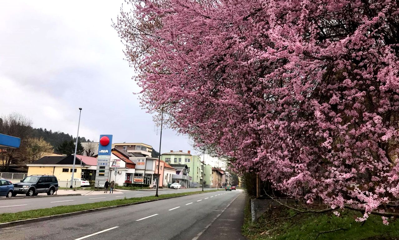 Sunčana nedjelja u Bosni i Hercegovini