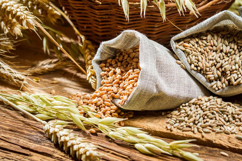 Posljedica nepovoljnih uslova usjeva: Divljaju cijene žitarica, posebno pšenice