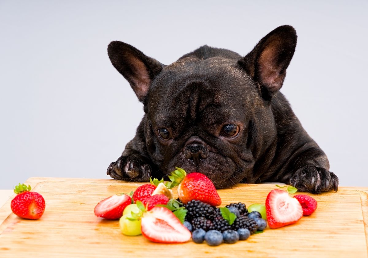 Voće koje bezbrižno možete davati svom psu
