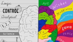 Koja strana mozga vam je dominantna i šta to znači?