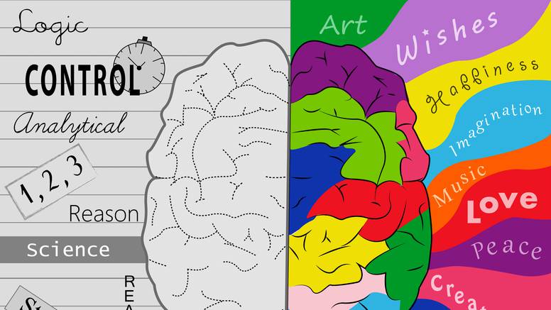 Koja strana mozga vam je dominantna i šta to znači?