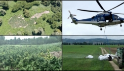 Slovenija: Helikopterom pronašli plantažu marihuane vrijednu više od 2 miliona eura